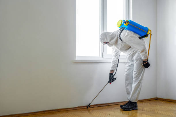 Best Wasp Removal Services  in Cedar Ridge, CA