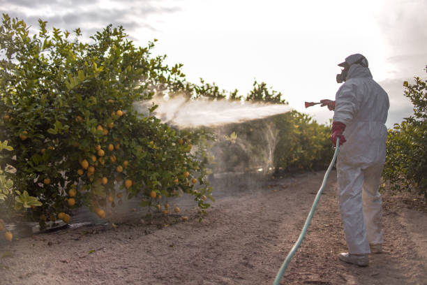  Cedar Ridge, CA Pest Control Pros