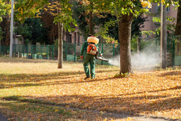 Pest Control for Restaurants in Cedar Ridge, CA