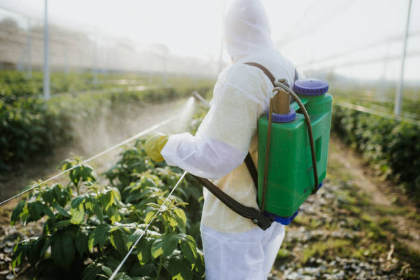 Best Wildlife Control Services  in Cedar Ridge, CA